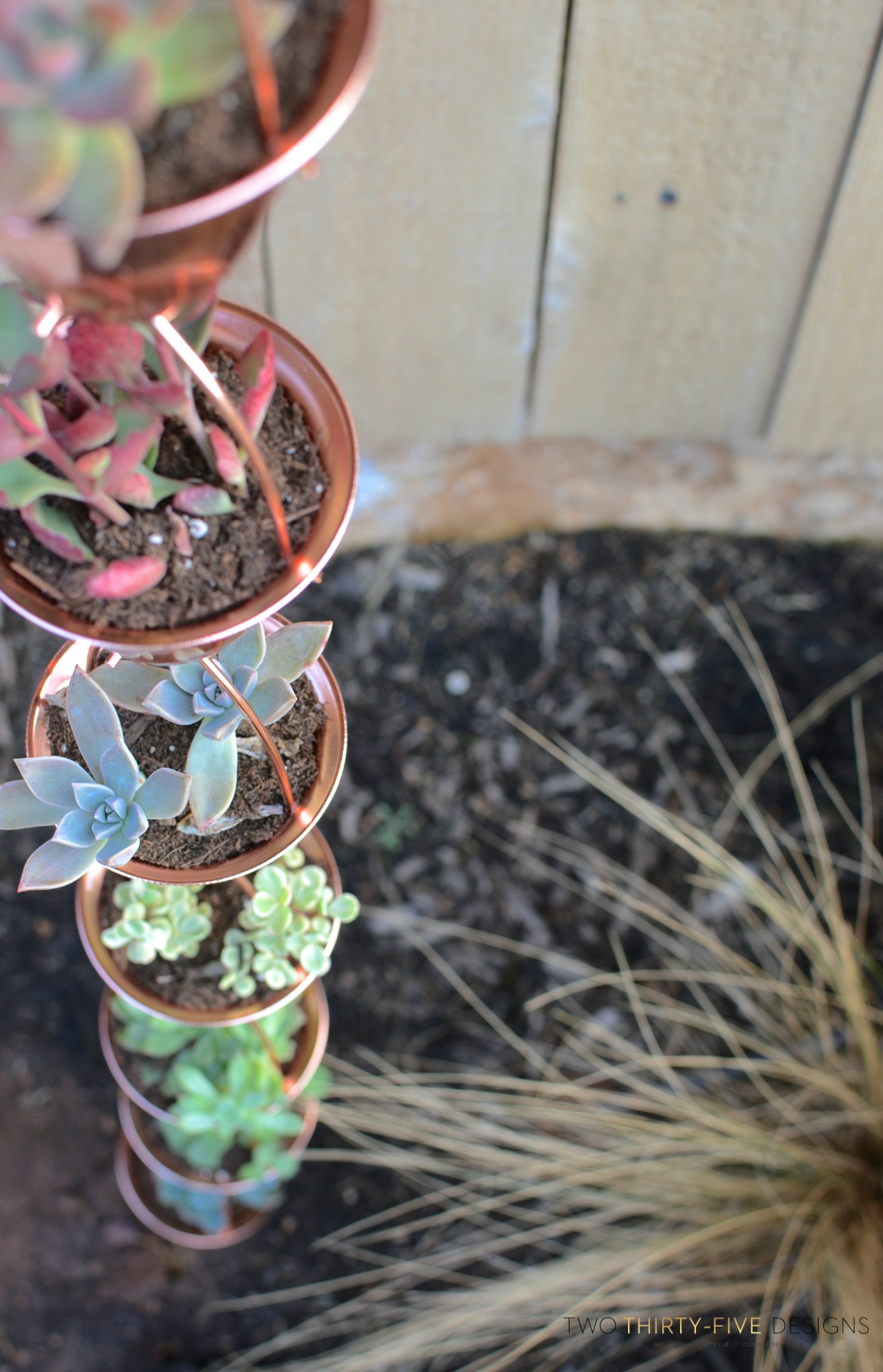 succulent rain chain