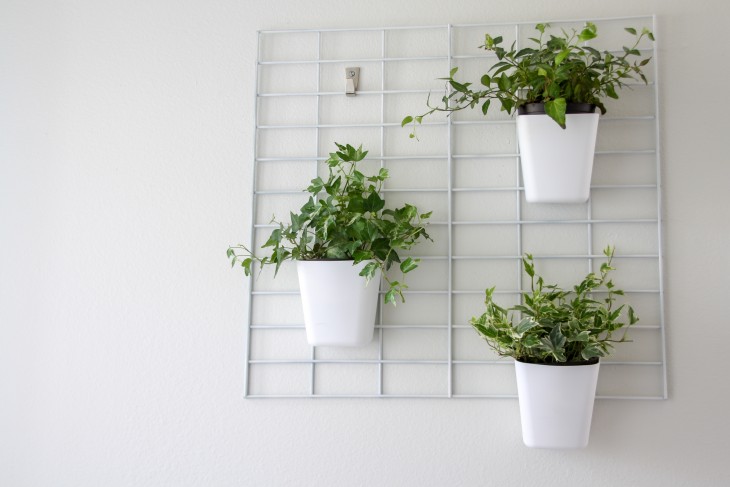 using a grid to hang indoor plants