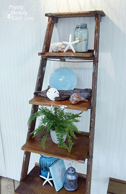 Ladder Shelves