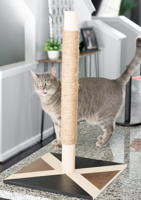 Modern Cat Scratcher DIY 