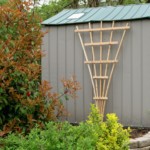 Trellis on shed