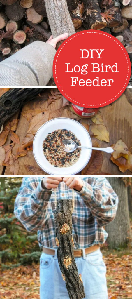 DIY Log Bird Feeder Pin Image