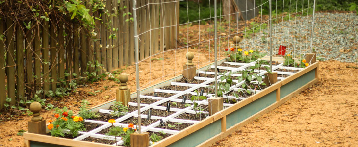 How to Build a Vegetable Trellis on a Budget | Pretty Handy Girl