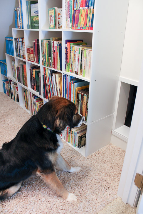 Childrens' Closet Library with Secret Pass Through | Pretty Handy Girl