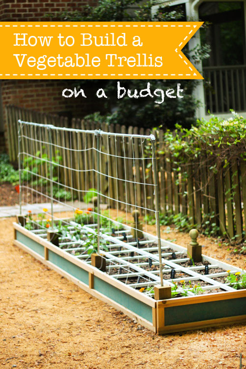 How to Build a Vegetable Trellis on a Budget | Pretty Handy Girl