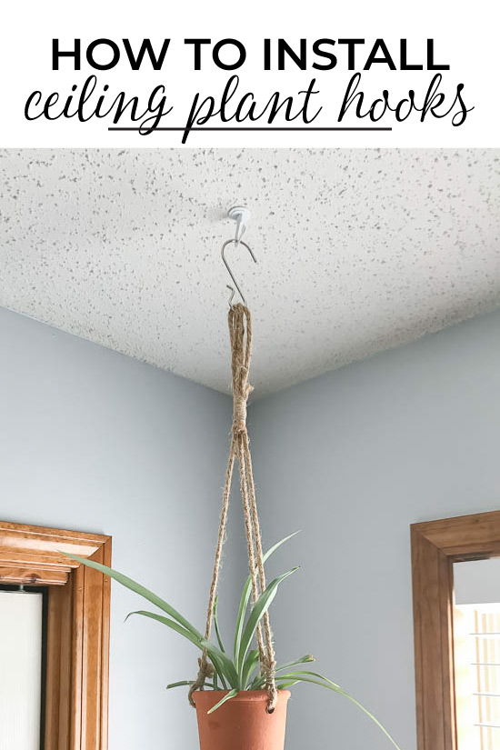 How to Install Ceiling Plant Hooks