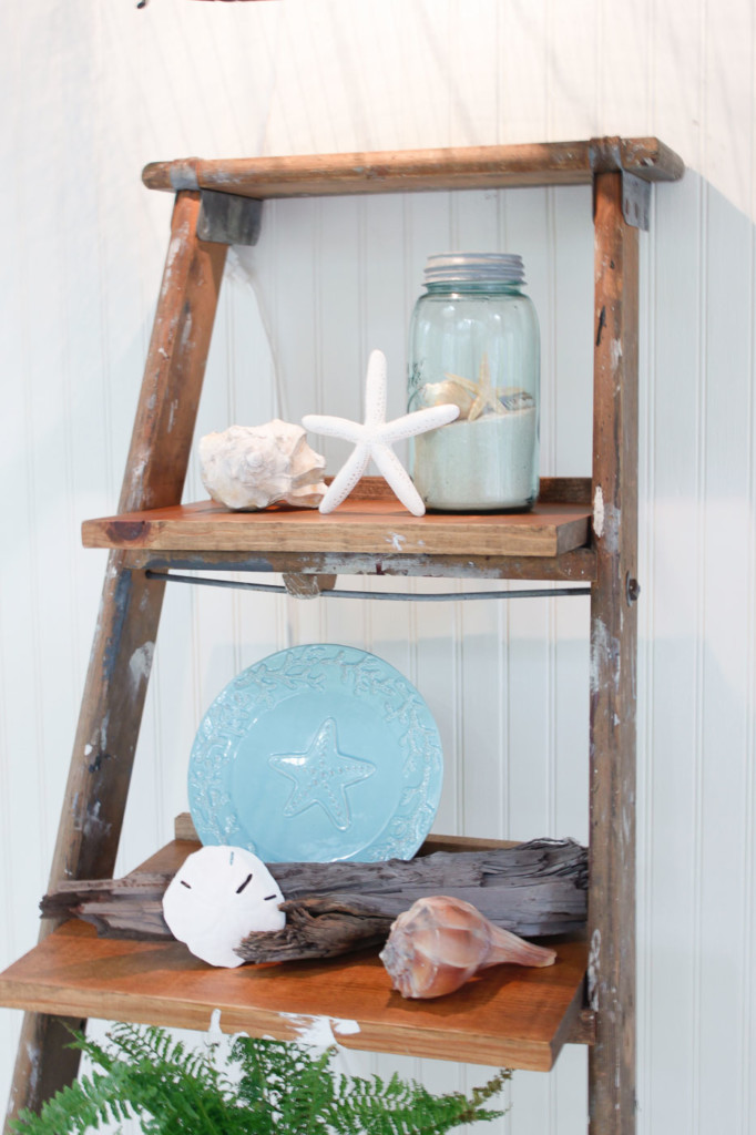 close up ladder shelves decorated with coastal decor