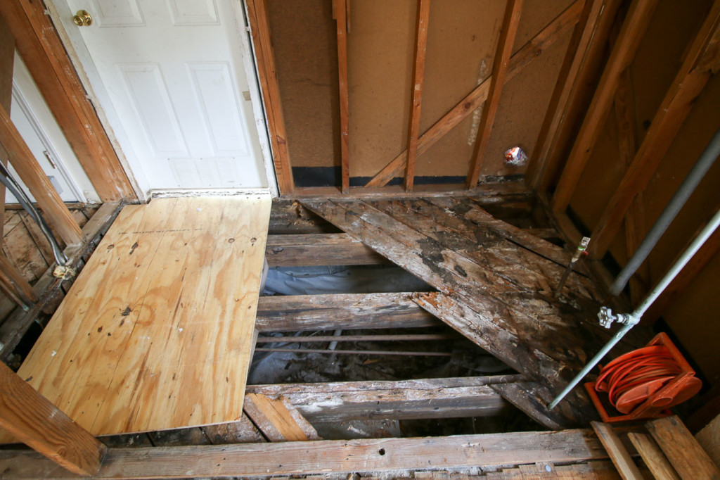 laundry room floor termite and mold damage