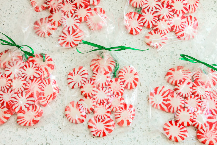 Easy Peppermint Snowflakes | Pretty Handy Girl