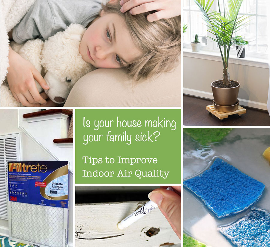 Is Your House Making You Sick? Top Tips to Improve Air Quality