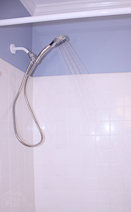 standard hand held shower head